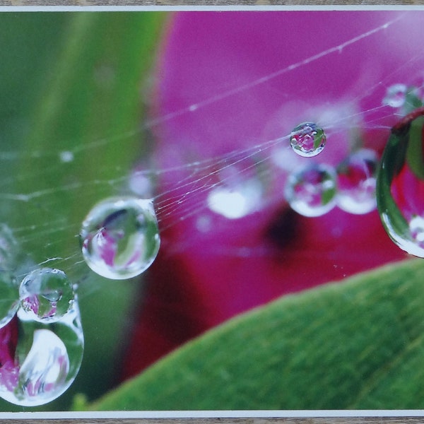 Water drops, abstract art photo, morning dew, rain droplets and poetry, agility and balance, art photography, decoration,