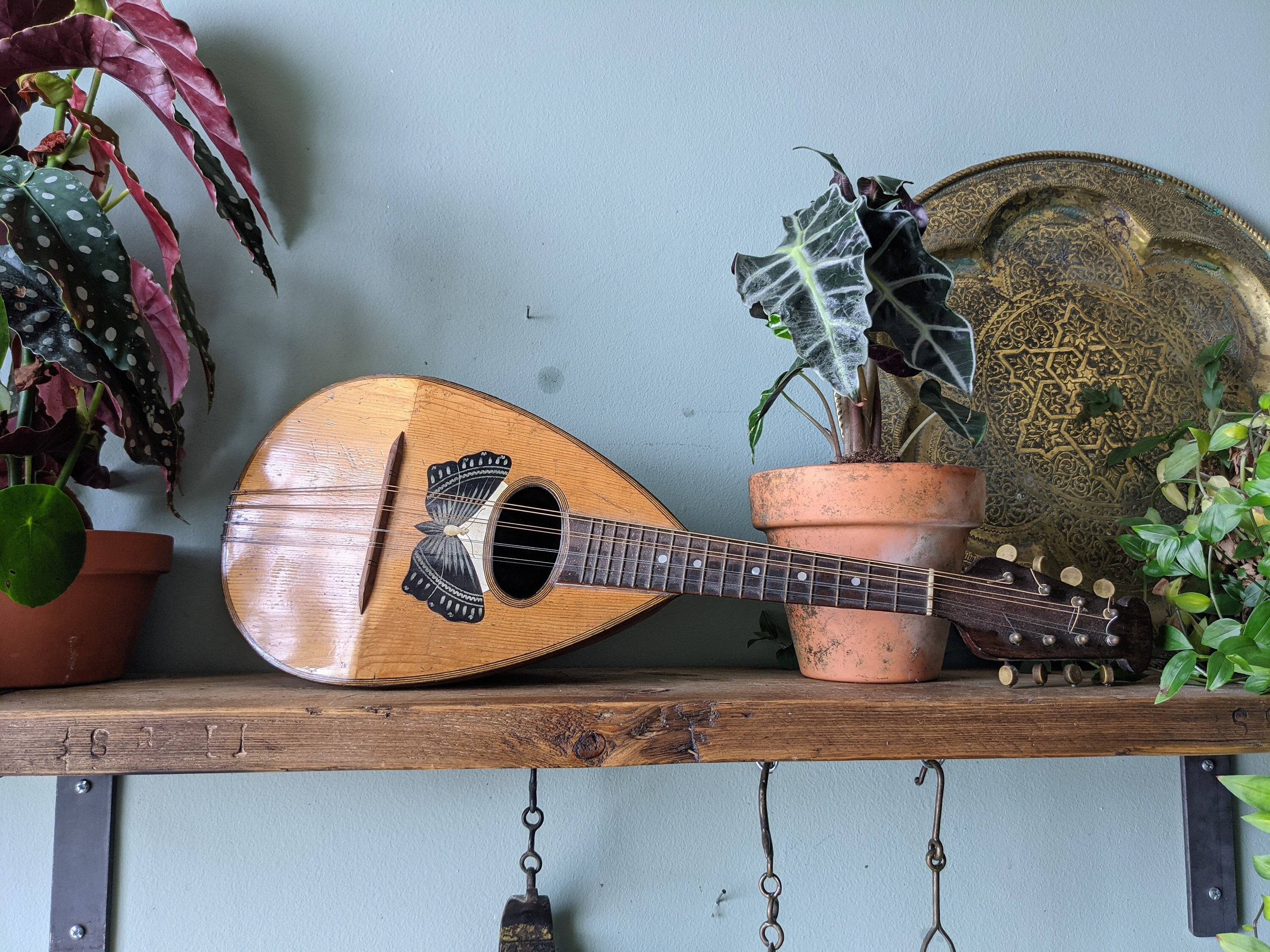 Bowl Back Mandolin for sale | Only 4 left at -70%