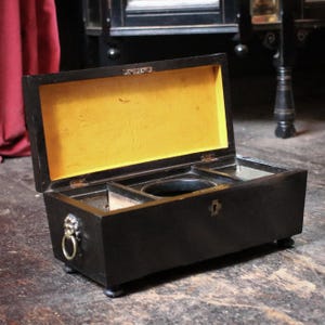 Antique Georgian Ebonised Tea Caddy with Lion Mask Handles – 19th Century Black Wooden Tea Box