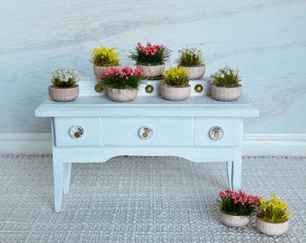 Miniature Potted Plants