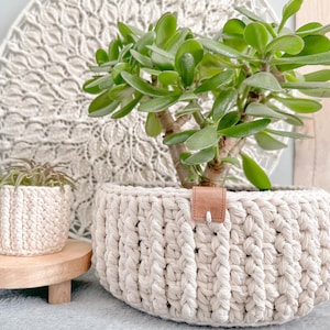 Puede incluir: Una maceta de crochet blanca con una correa de cuero marrón, que contiene una planta de jade verde. La maceta está sobre un soporte de madera.