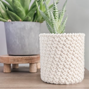 May include: Two potted plants, one with a green succulent in a gray pot on a wooden stand and the other with a green succulent in a white crocheted pot.