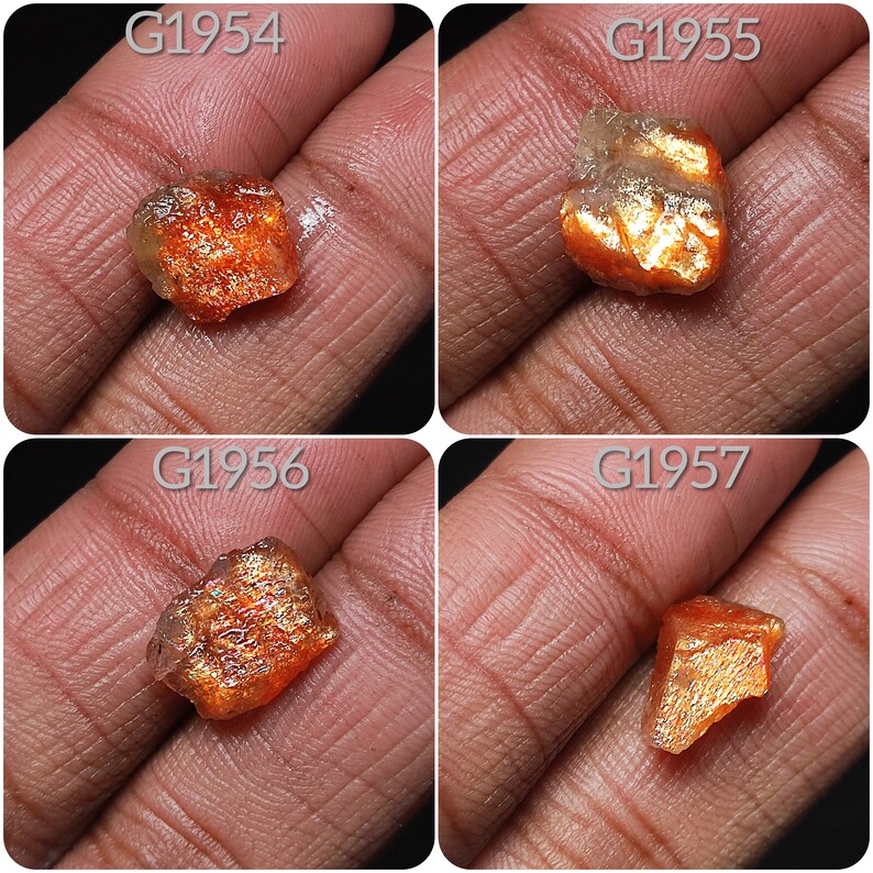 May include: Four rough, orange sunstone crystals with iridescent shimmer. The crystals are labeled G1954, G1955, G1956, and G1957.
