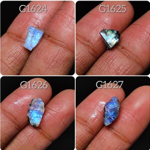 May include: Four iridescent rainbow moonstone rough stones, each with a unique shape and size. The stones are labeled G1624, G1625, G1626, and G1627.