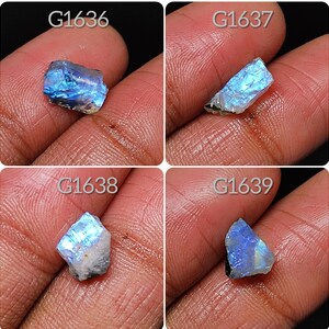 May include: Four pieces of iridescent rainbow moonstone, each with a unique shape and size. The stones are labeled G1636, G1637, G1638, and G1639.