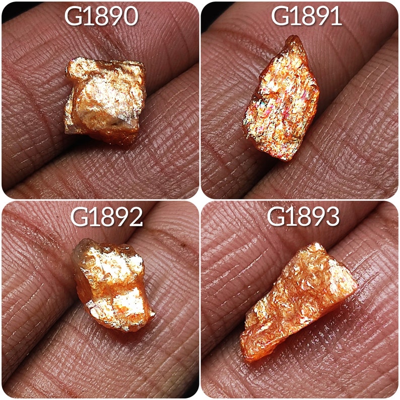 May include: Four pieces of raw, orange sunstone with iridescent sparkle. The stones are labeled G1890, G1891, G1892, and G1893.