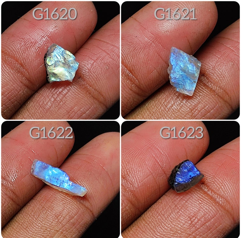 May include: Four pieces of iridescent labradorite gemstone, each with a unique shape and color. The stones are labeled G1620, G1621, G1622, and G1623.