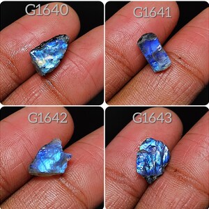 May include: Four rough, iridescent labradorite gemstones, each with a unique shape and pattern of blue and green colors. The stones are labeled G1640, G1641, G1642, and G1643.