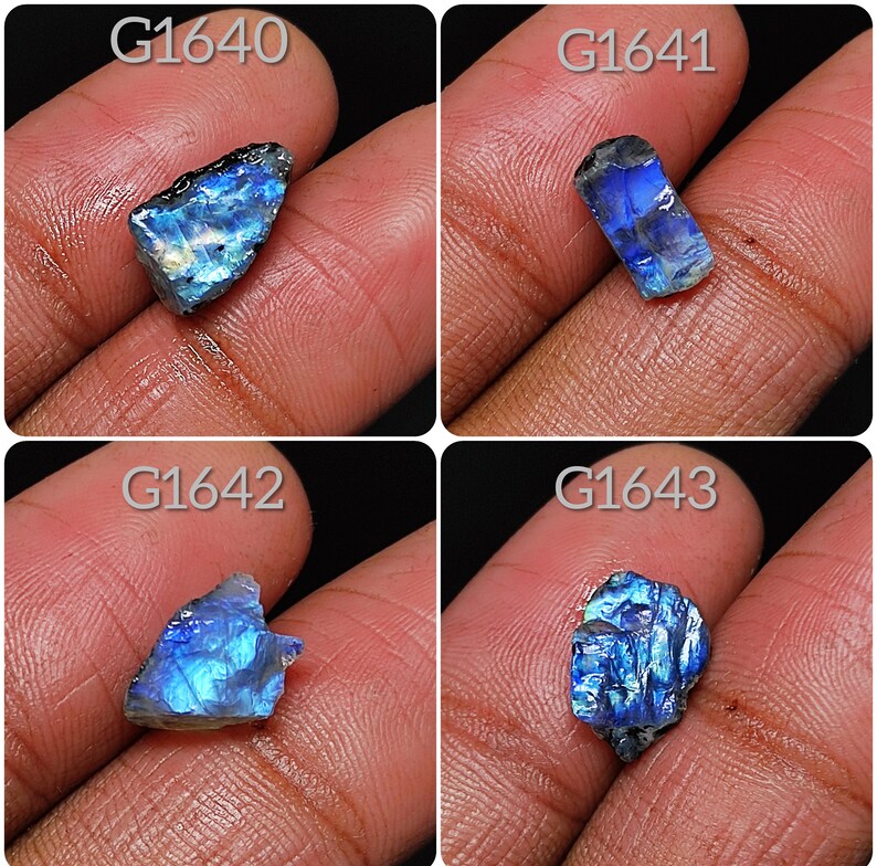 May include: Four rough, iridescent labradorite gemstones, each with a unique shape and pattern of blue and green colors. The stones are labeled G1640, G1641, G1642, and G1643.