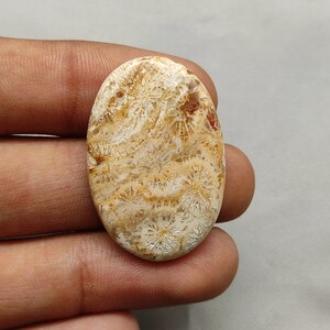 25 Karat Fossile Koralle Cabochon Ovale Form 32X22X4 MM Natürliche Braune Fossile Koralle Cabochon Designer Fossile Koralle Edelstein Für Schmuck G7240