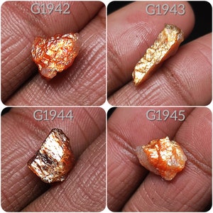 May include: Four pieces of raw, golden sunstone with red and orange hues. The stones are labeled G1942, G1943, G1944, and G1945.