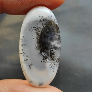 Cabochon Dentrite Naturelle 36.50 Carats - Pierre Brute Sans Emballage