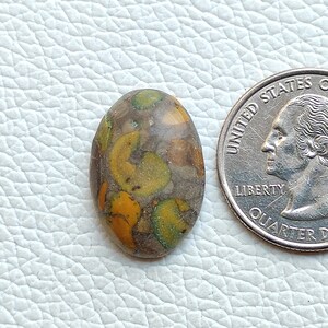 Puede incluir: Piedra preciosa ovalada en cabujón con un patrón de mármol marrón, verde y amarillo. La piedra es aproximadamente del tamaño de una moneda de 25 centavos de dólar estadounidense.