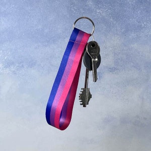 Può includere: Un portachiavi a strisce blu, rosa e bianco con un anello portachiavi argentato e due chiavi attaccate.