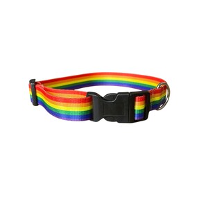 Pode incluir: Uma coleira para cães com listras de arco-íris com uma fivela de plástico preta e um anel em D de metal prateado. A coleira apresenta as cores do arco-íris: vermelho, laranja, amarelo, verde, azul e roxo. A coleira é para animais de estimação.