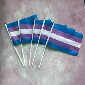 Mini transgendervlag / handige regenboogvlag / vlag transgender / gay pride LGBTQ+ / Gay Pride-vlag / transgender LGBT / vlag transgender Pride