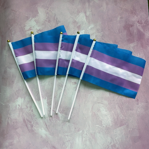 Mini Transgender Flagge / handliche Regenbogen Flagge / Trans Flagge / Gay Pride LGBTQ+ / Gay Pride Flagge / Transgender LGBT / Transgender Pride Flagge