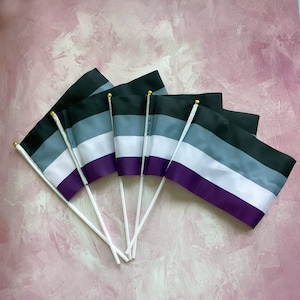 Mini Asexual Flagge / Handy Flagge / Trans Flagge / Gay Pride LGBTQ+ / Gay Pride Flagge / Asexual Flagge / Pride Flagge / Asex / Asexuell