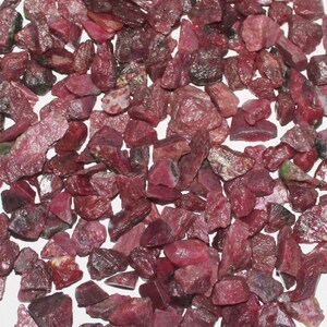 Op de afbeelding: Een grote stapel kleine, ruwe, rode robijn edelstenen. De robijnen zijn van verschillende vormen en maten, en sommige hebben een iets donkerdere rode tint.