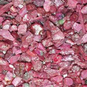 May include: A close-up view of a pile of rough, uncut ruby gemstones. The stones vary in size and shape, displaying a range of deep red and pink hues. Some stones have a glossy, reflective surface, while others appear more matte.
