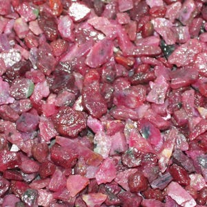 May include: Close-up of a pile of rough-cut ruby gemstones. The stones vary in size and shape, displaying a range of deep red hues with some lighter pink and purple tones. The surface of the stones appears slightly reflective.
