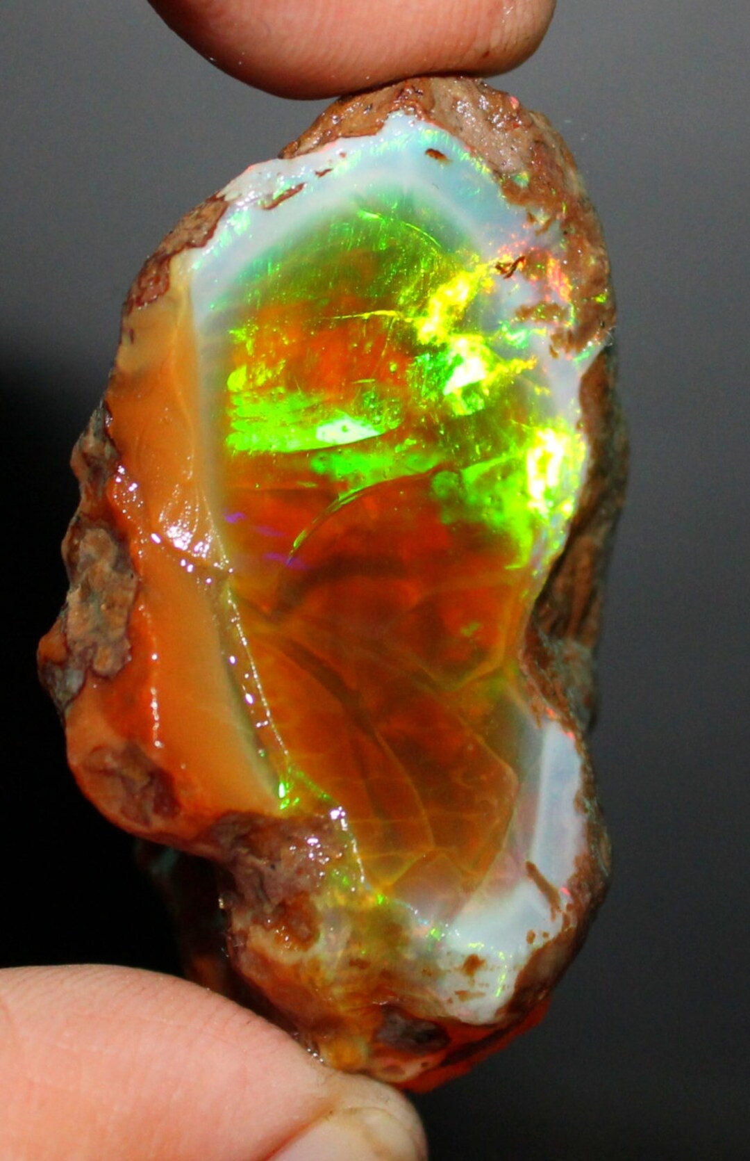 Opale Brute éthiopienne Naturelle - Multi-feu - 158,25 Carats - Pièce Exceptionnelle !