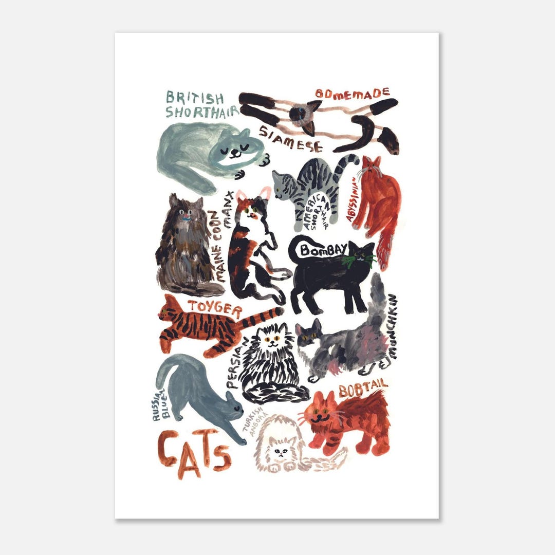 Cats Poster - Etsy