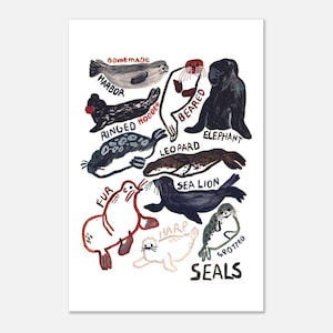 Seals Poster