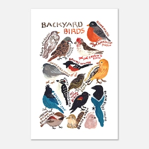 Backyard Birds Poster