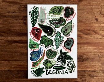 Begonia Mini Posters /6x9 Poster/ Art Print/ Super Premium paper 32pt/Impressively thick