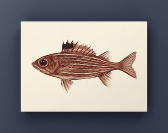 Impresión de pez ardilla / Decoración física de peces / Postal de peces / Impresiones de peces / Pintura de peces de acuario / Regalos para él / Impresión de pesca en el océano