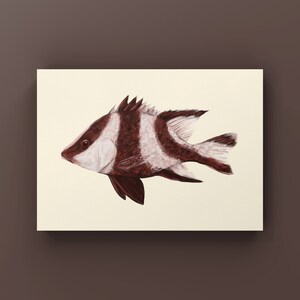 Kaiser Red Snapper Fisch Druck | Körperliches Fischdekor | Fisch Postkarte | Poster Fisch | Aquarienfische Gemälde | Geschenke für Ihn | Angeln Druck