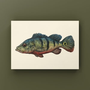 Peacock Bass Fish Print | Physical Fish Decor | Fish Postcard | Fish Prints | Aquarium Fish Painting | Gifts for Him | Ocean Fishing Print