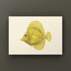 Impresión de pez cirujano amarillo / Decoración física de peces / Postal de peces / Impresiones de peces / Pintura de peces de acuario / Regalos para él / Impresión de pesca en el océano