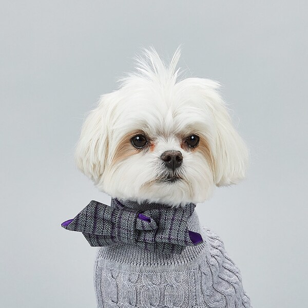 Mayfair Dog Bow Tie by Hercabella // Grey, Purple Tweed Tartan Wool Luxury Dog Bow Tie // Designer Dog Clothing