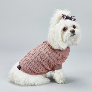 Designer Inspired dog jumper – Isle For Dogs Boutique LTD