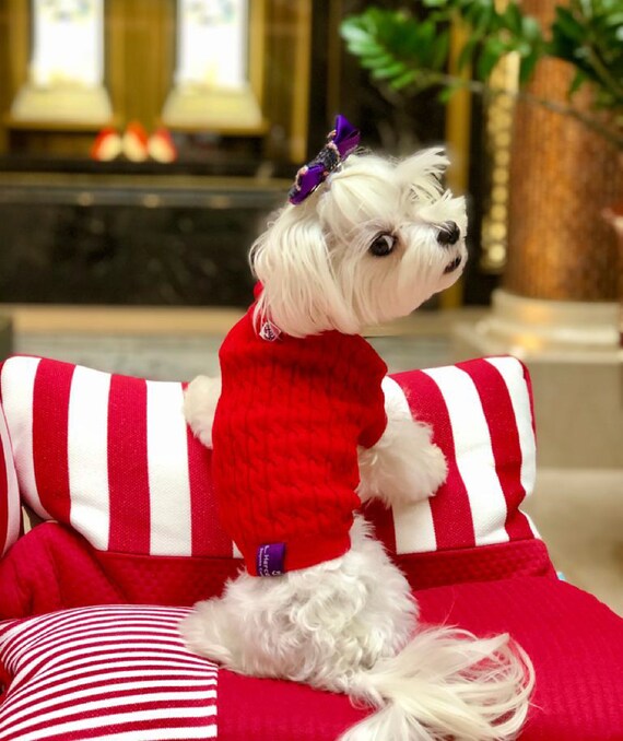 Red cheap dog jumper
