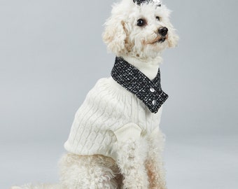 May include: A white poodle wearing a white cable knit sweater with a black and white tweed collar and a black bow on its head.