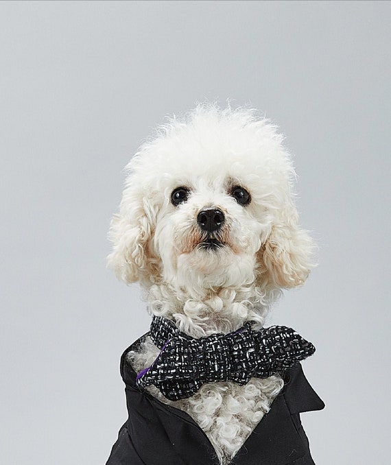 Luxury Pet Bow Tie 