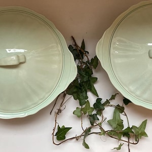 Puede incluir: Dos fuentes de cerámica verde pálido con tapas. Cada tapa tiene un asa y un borde decorativo. Los platos están dispuestos uno al lado del otro con vides verdes en el medio.