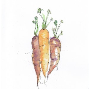 Wild Carrots Watercolor Painting | Digital Art Print 8x10