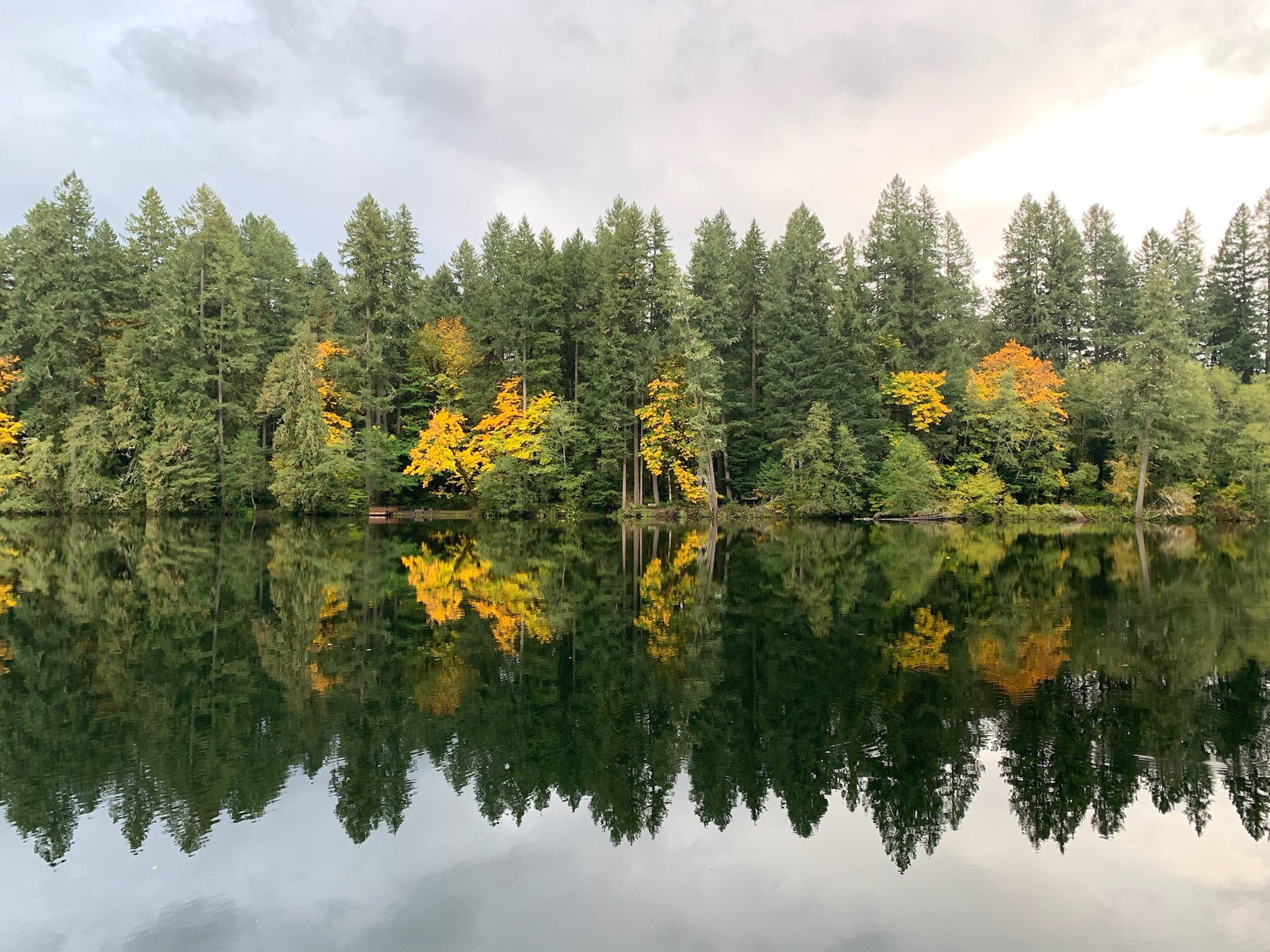 Mckenzie River Valley 2023 Calendar Etsy