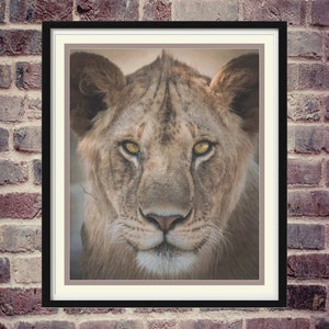 Lioness - Beautiful Wildlife Series Full Coverage Cross Stitch Pattern PDF