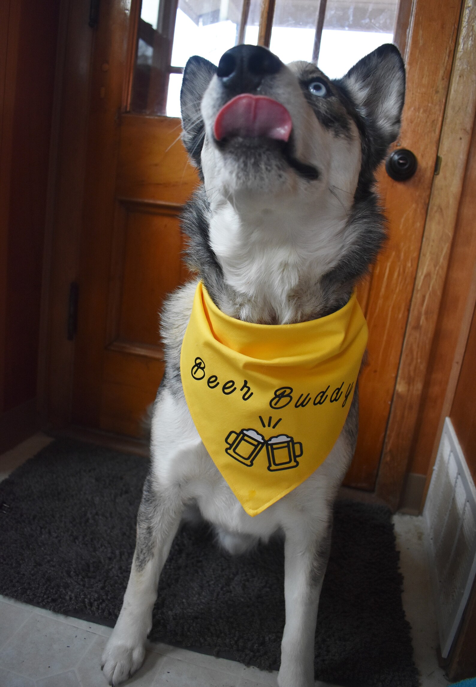 Beer Buddy Dog Bandana Funny Drinking Dog Bandana Yellow Tie Etsy