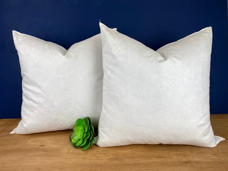 Feather Cushion Inserts Canada at Alicia Porter blog