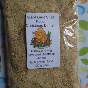 Giant African Land Snail Christmas dinner flavoured high protein food