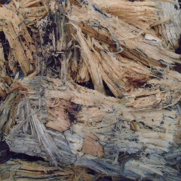 Decayed Hardwood Fibers for your vivariums, woodlice. millipedes etc