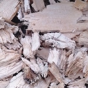 1 ltr bags of rotten wood pieces  for your beetles, woodlice, and other inverts that like wood in their cay to day living