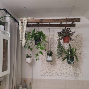 Hanging Ladder Pot Rack, Plant Display Rack