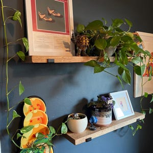 May include: Two horizontal wooden shelves with black metal brackets mounted on a dark wall. The top shelf holds a framed print of shoes, a small figurine, and a trailing green pothos plant. The bottom shelf features a round white bowl, a small blue figure, a patterned pot with a plant, and a small framed picture.
